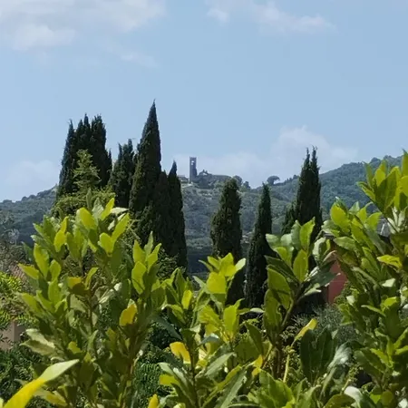 Bellini's House Montecatini Terme