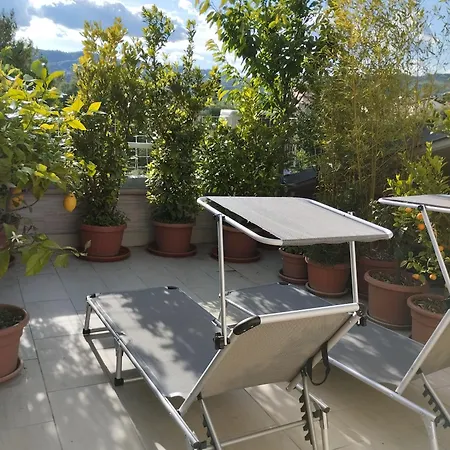 Bellini's House *