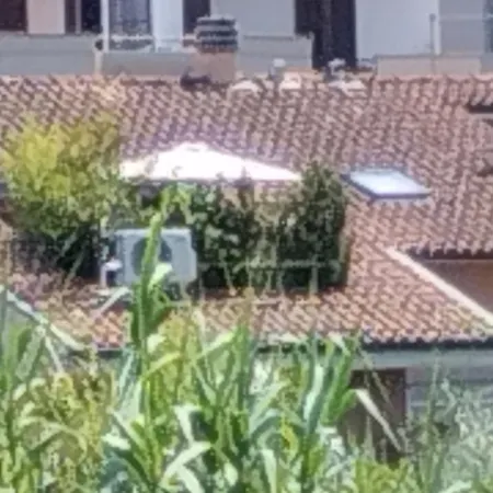 Bellini's House Apartamento Montecatini Terme